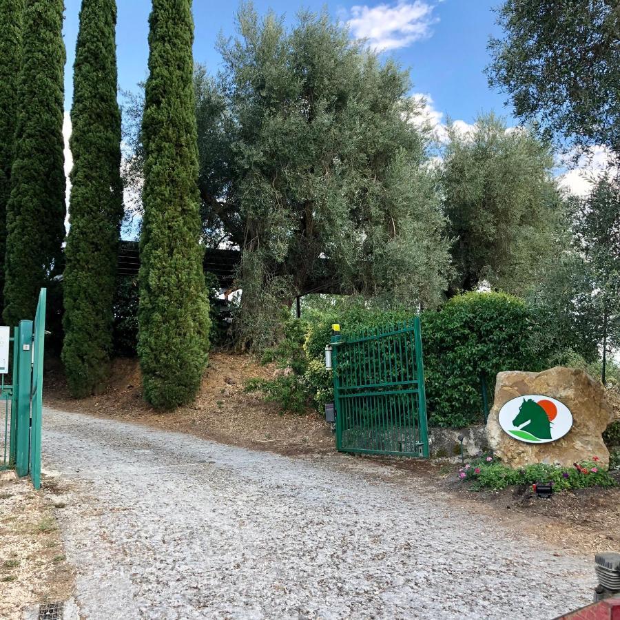 Agriturismo Poggio Del Drago Montemerano Zewnętrze zdjęcie