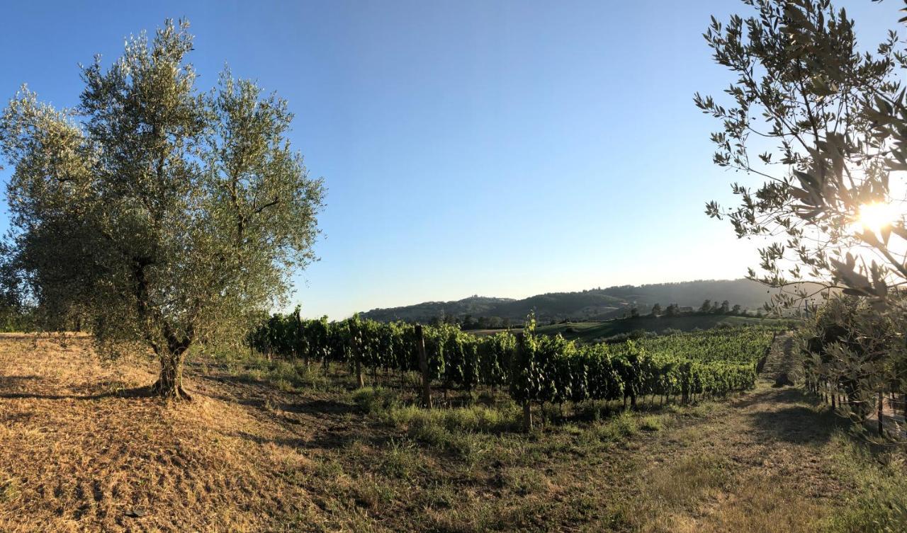 Agriturismo Poggio Del Drago Montemerano Zewnętrze zdjęcie
