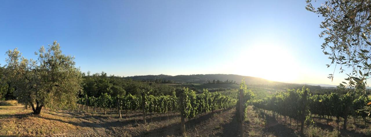 Agriturismo Poggio Del Drago Montemerano Zewnętrze zdjęcie