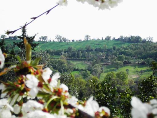 Agriturismo Poggio Del Drago Montemerano Zewnętrze zdjęcie