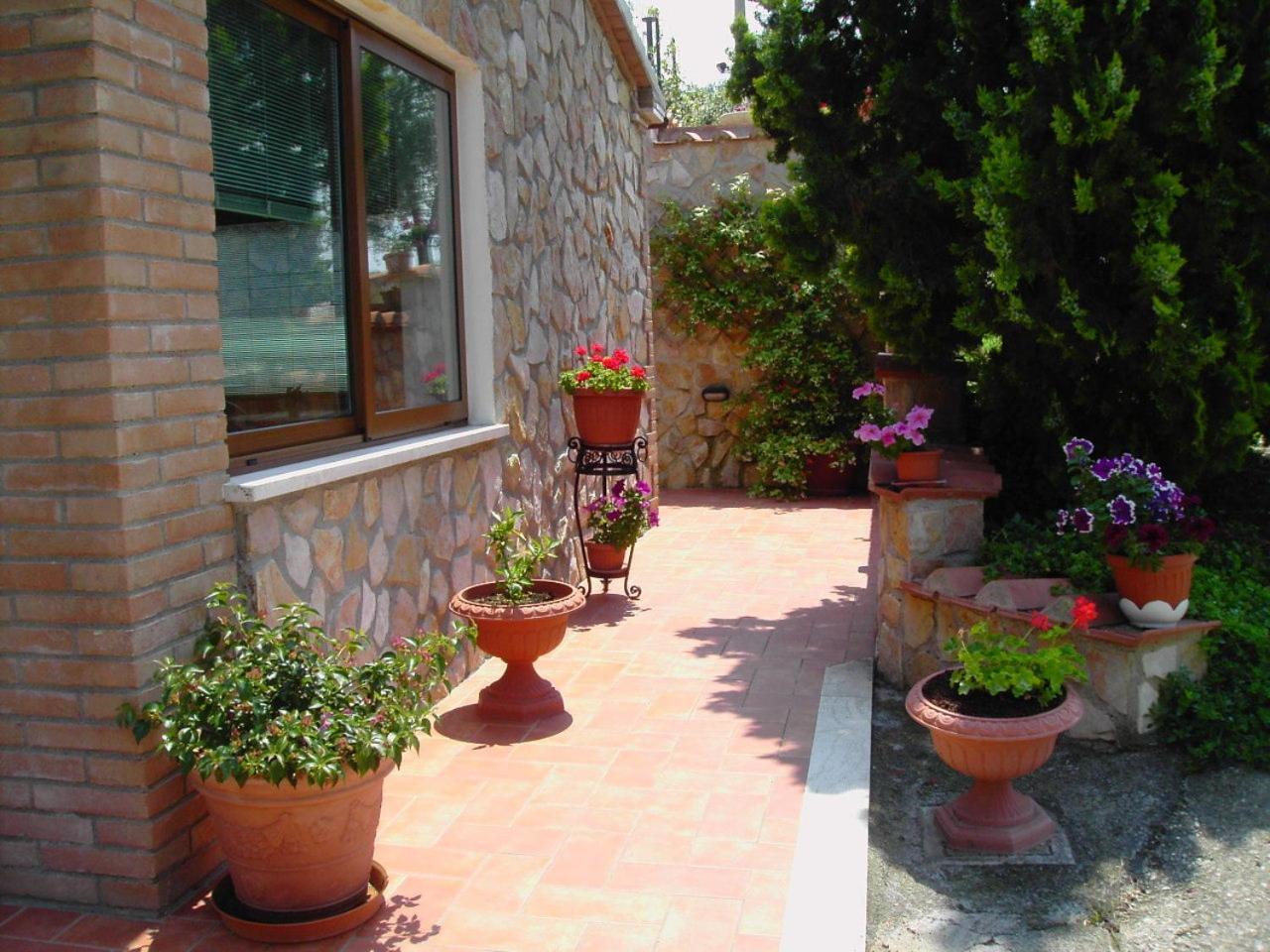 Agriturismo Poggio Del Drago Montemerano Zewnętrze zdjęcie