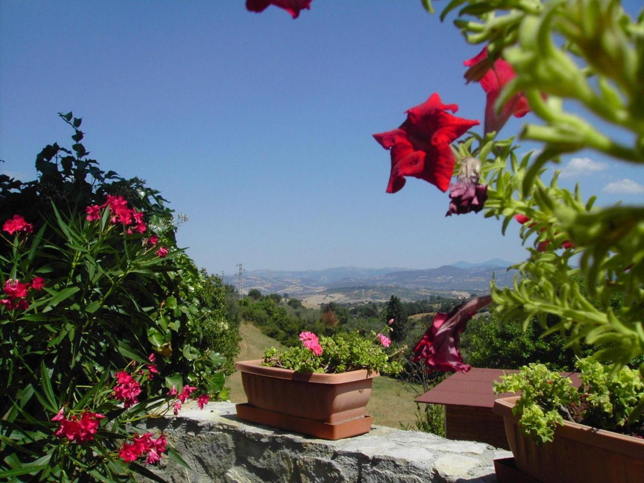 Agriturismo Poggio Del Drago Montemerano Zewnętrze zdjęcie
