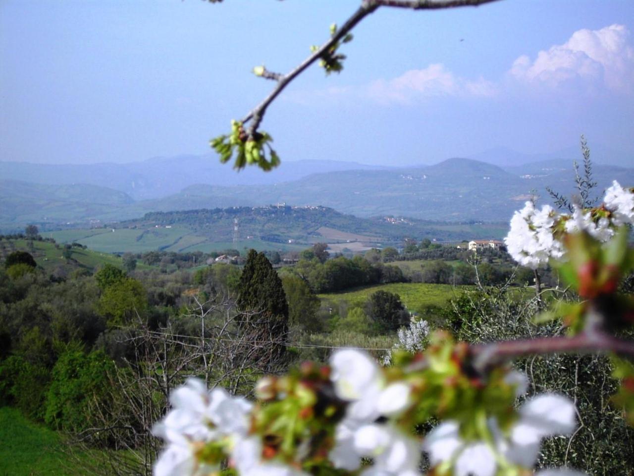 Agriturismo Poggio Del Drago Montemerano Zewnętrze zdjęcie